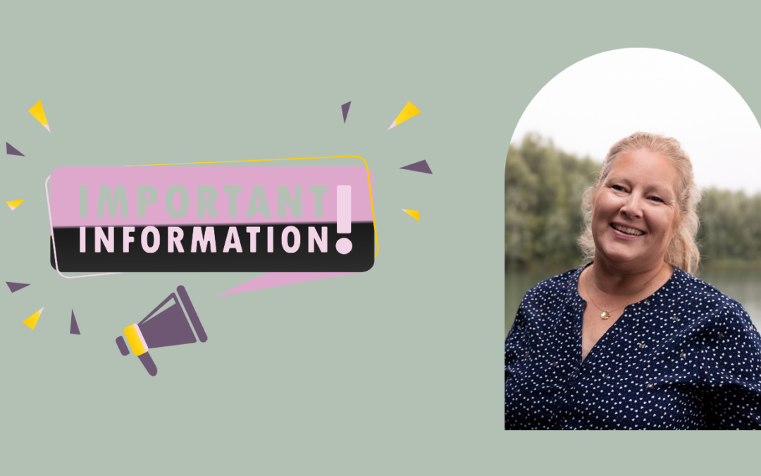 Waarom is een professionele website zo belangrijk?